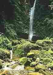 Tarapoto Peru